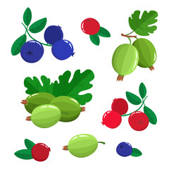 Vector set cartoon cranberries and blueberries with green leaves isolated on a white background. Bright berries branch.
