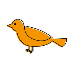 cute bird animal forest wild