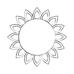 sunflower natural plant petal decoration