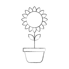 potted sunflower natural plant petal decoration