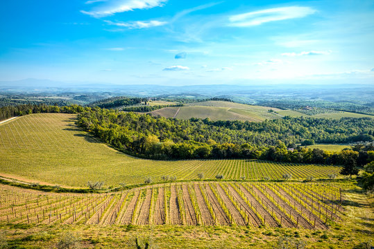Vineyards and agriculture landscape of Chianti, Gaiole in Chianti, Tuscany
