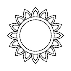 sunflower natural plant petal decoration