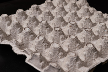 pusta kratka do jaj © FOTOWAWA