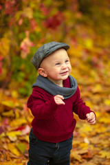 Portrait of little smiling child boy standing in park on background of colorful autumn fallen leaves.