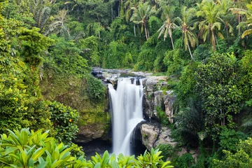 Foto op Plexiglas waterfall in tropical forest © night_cat