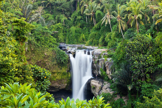 Fototapeta waterfall in tropical forest