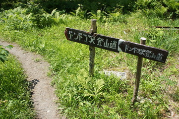 ドンドコ沢登山道