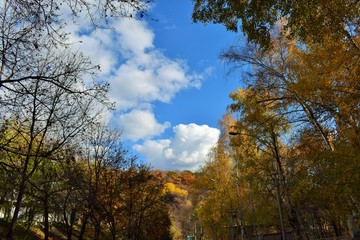 bright and beautiful autumn forest on a background of blue sky with clouds