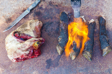 head and legs of the sheep are treated with fire
