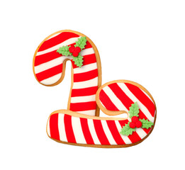 Funny cookie for Christmas
