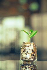 Plant growing out of coins with filter effect retro vintage style,concept money growing and small tree in jar, economy concept