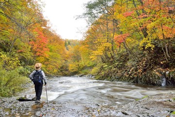 紅葉の渓谷を歩く