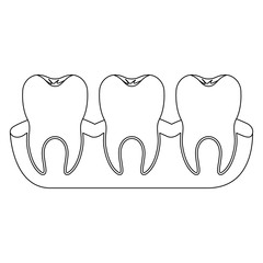 teeth with tooth root view monochrome silhouette