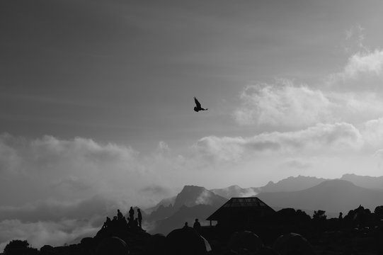 Flying Crow