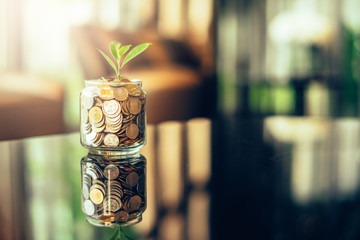 Plant growing out of coins with filter effect retro vintage style,concept money growing and small tree in jar, economy concept