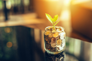 Plant growing out of coins with filter effect retro vintage style,concept money growing and small tree in jar, economy concept