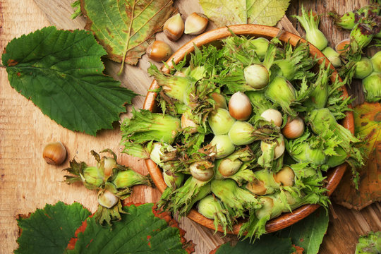 Fresh hazelnuts in shell with leaves in wooden bowl, vintage wooden background, top view