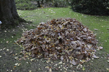 Fototapeta na wymiar Laubberg der bunten Blätter