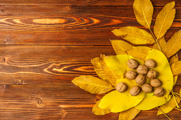 Walnuts with autumn yellow walnut leaves against the background of an old wooden table.