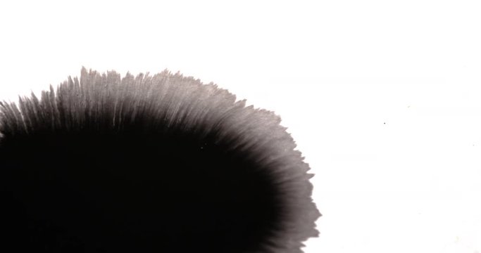 Ink bleed on white for adding ink effects to your project. Luma out ink or use as a track matte