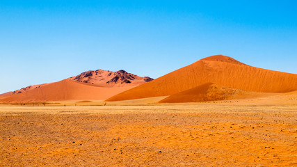 Fototapeta na wymiar Landscape with red dunes of Namib Desert, Namibia, Africa.