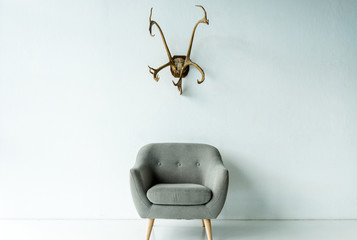 armchair and antlers on wall