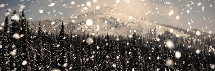 Snow capped mountain with pine trees
