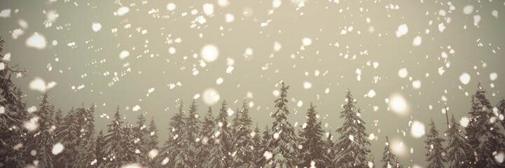 Fototapeta na wymiar Trees in mountain coated of snow 