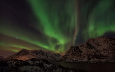 Obraz na płótnie Canvas Lofoten Islands Northern Lights - Aurora Borealis Norway