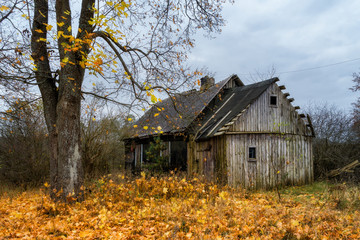 Stara chata © podlaski49
