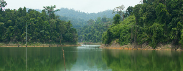 Islands in Banding Lake, part of Royal Belum rainforest - 178087125