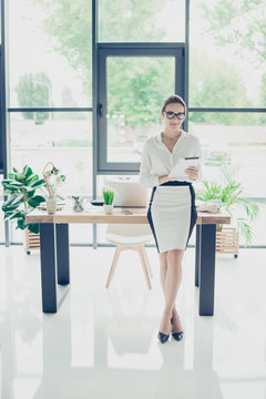 Full size of brown haired successful feminine lawyer professional in formal wear, sitting on top of her desk at work place, typing on touch screen, white shiny floor, green plants, windows