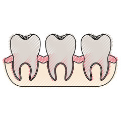 teeth with tooth root view in colored crayon silhouette