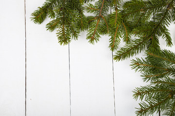 Fir branches on a white wooden background.