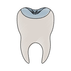 restored tooth with root in colored crayon silhouette