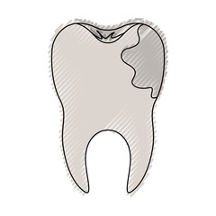 tooth with root and caries by side in colored crayon silhouette