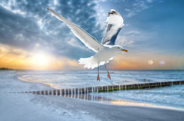 Ostsee Sonnenuntergang