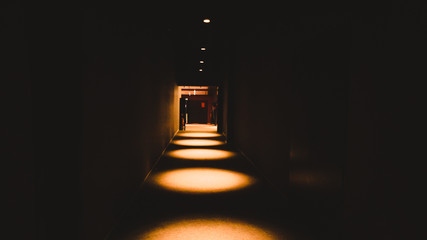 Empty dark corridor in apartment building in perspective view with copy space.
