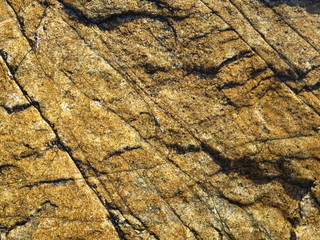 parete rocciosa calcare 