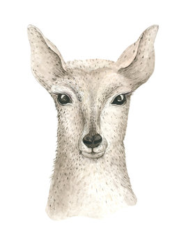 Merry Christmas watercolor card with fawl. Baby deer Happy New Year lettering posters. Nursery winter swowflakes and branch decoration.