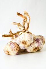 Closeup of a bunch of garlic bulbs