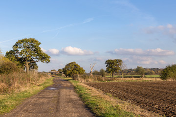 Fototapeta premium Essex countryside in autumn, newly ploughed field with farm track.