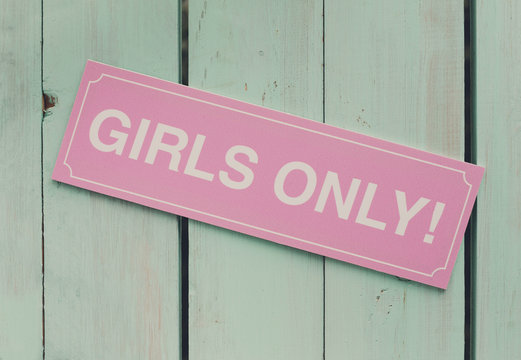 Hen party, feminine sign girls only. Photo booth backdrop, decoration