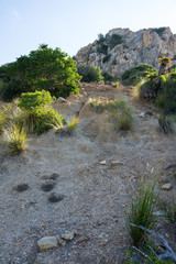 Mallorca, Urlaub, Balearen, Spanien, Sonne, Meer, Mittelmeer, Strand, Erholung