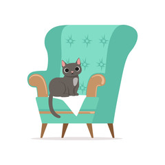 Cute gray cat sitting on a turquoise armchair, home pet resting vector Illustration