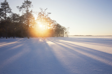 Fototapety na wymiar - Fototapeta24.pl