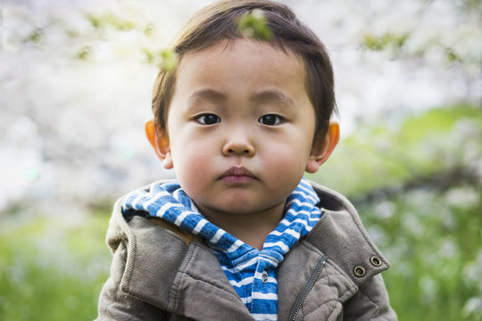 Asian toddle's portrait outdoors in spring