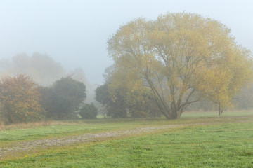 Misty morning in the Essex countryside
