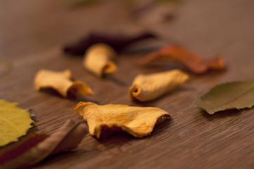 Dehydrated homemade pumpkin dog treats with leaves