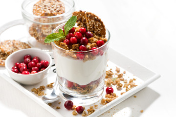 dessert with granola, cranberries and cream, closeup